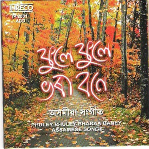 Bihure Birina Pate Oi - Various Artists