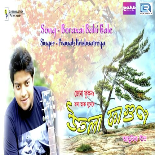Boroxai Bahi Bale - Pranab Krishnatreya