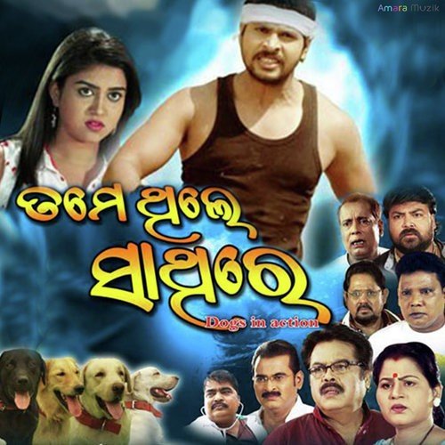 Desi Kukuda - Sanjay Nayak