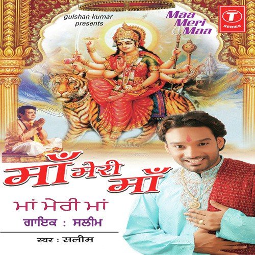 Lungar - Saleem, Saleem-Parvez