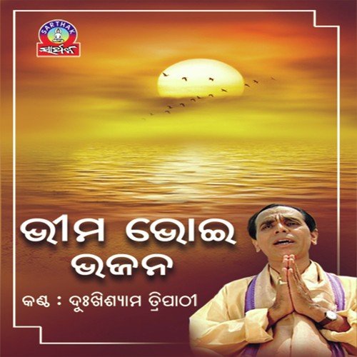Bichari Karichi Laya - Narendra Kumar