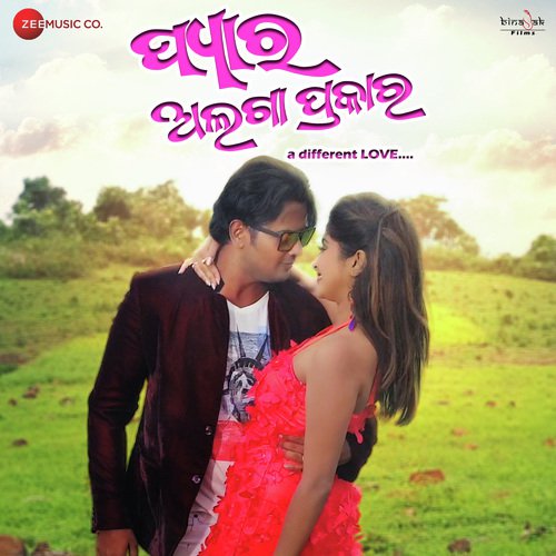 Bhala Paithili - Amarendra Mohanty