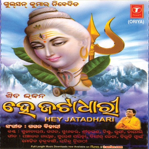 Om Namah Shivay - Panchanan Nayak