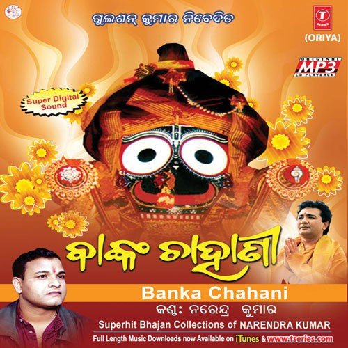 Kola Megha Dekhhi Mayur - Various Artists