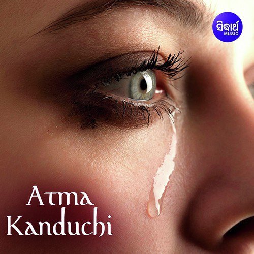 Baudi Tamaku Bhala Pauchu - Various Artists