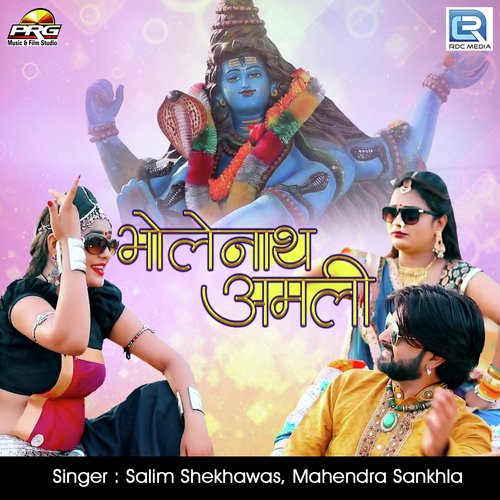 Bholanath Amali - Salim Shekhawas