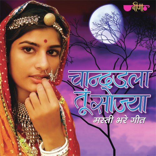 Aayo Phaganiyo Aayo Re - Vaibhav Bagmar