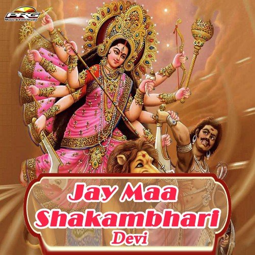 Navlak Seva Sunn Meri Deva - Sunil Dadhich