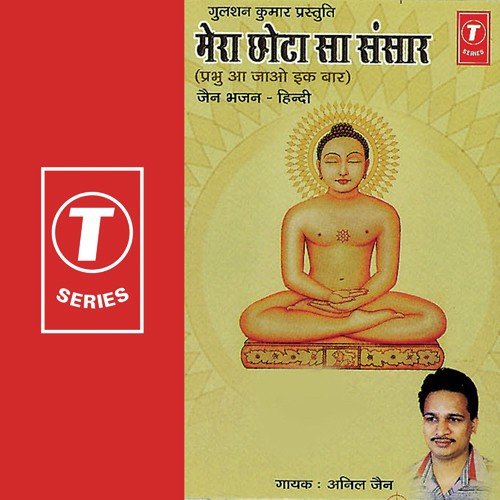 Tainu Na Visaara Saare Jag - Anil Jain, Chandrashekhar Gadgil