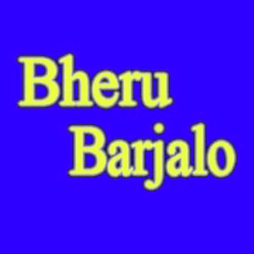 Aaj Mara Bhairav Dev - Various Artists
