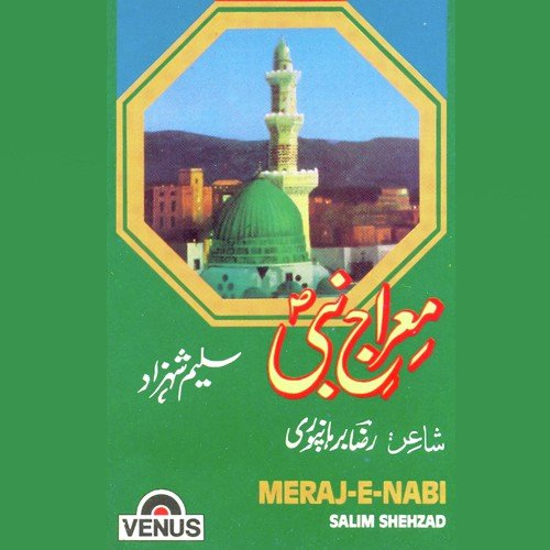 Too Ajmer Ja - Saleem Shahzad