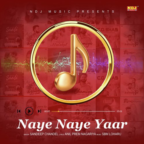 Naye Naye Yaar - Vicky Sain, Radhika Thakur