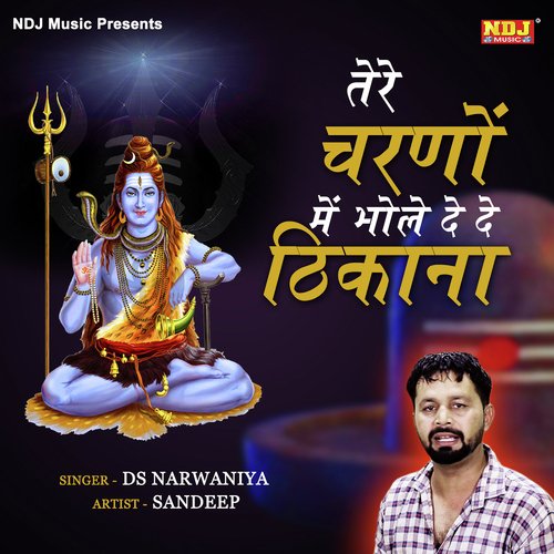 Tere Charno Me Bhole - DS Narwaniya, DS Narwaniya