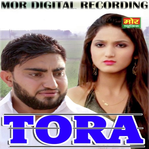Tora - CK Nara