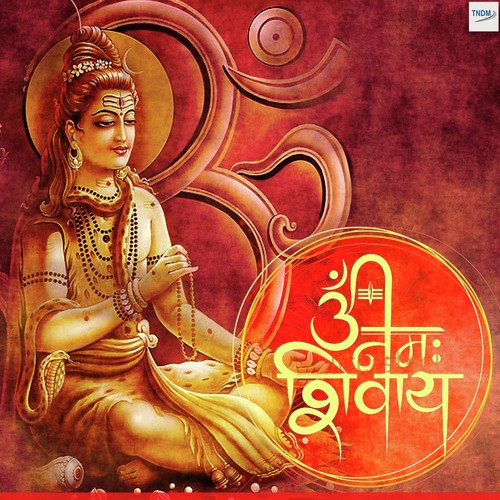 Bhole Bam Bam - Various Artists