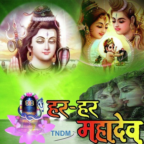 Bhang Ka Bharota - Various Artists