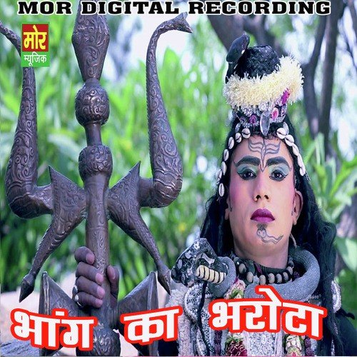 Bhang Ka Bharota - VR Bros