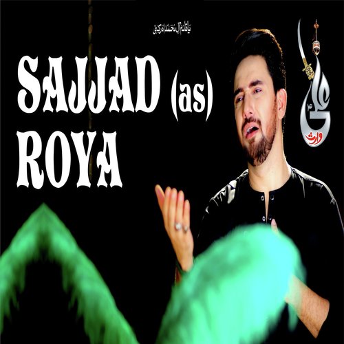 Sajjad Roya - Syed Farhan Ali Waris
