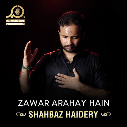 Nani Jan Hai Nani Godi - Shahbaz Haidery