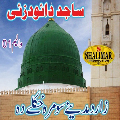 Hagha Shina Rang Mei Da - Sajid Dawoodzai