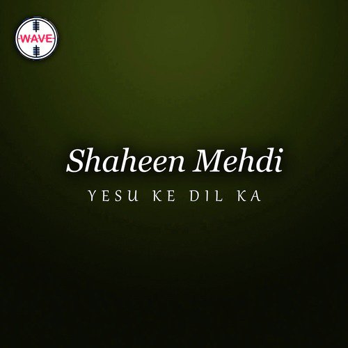 Jo Kroos Pe - Shaheen Mehdi, Saleem Ejaz