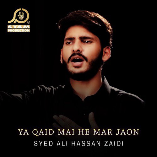 Ya Qaid Mai He Mar Jaon - Syed Ali Hassan Zaidi