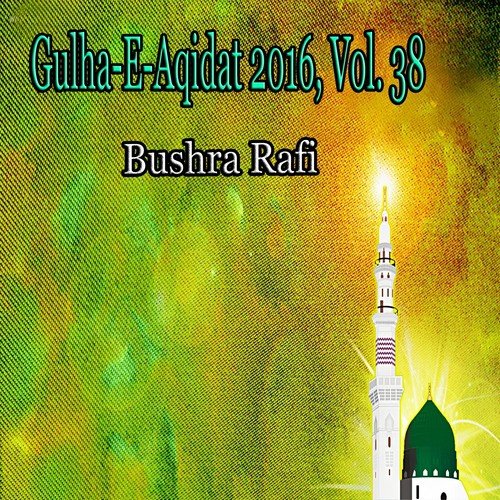 Maula Ya Salli Wa Sallim - Muhammad Anees Saba