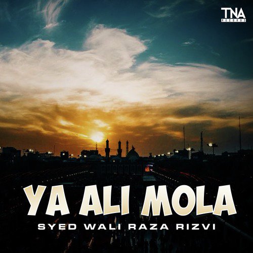 Ya Ali Mola - Syed Wali Raza Rizvi