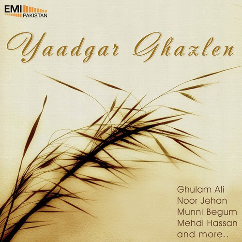 Woh Batein Teri Woh - Various Artists