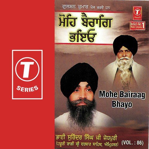 Tu Ram Naam Jap Soyee - Bhai Surinder Singh Ji (Jodhpuri)