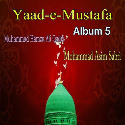 Jalion Par Nigahen - Mohammad Asim Sabri, Muhammad Hamza Ali Qadri