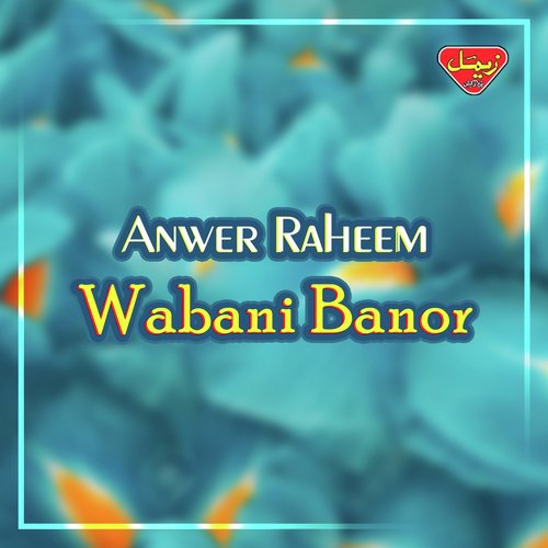 Lado Lado Wale - Anwer Raheem
