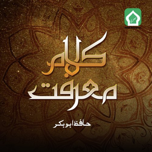 Meri Zindagi Ka Hasil - Anas Younus