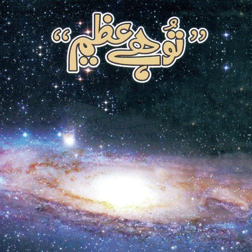 Jaan Maine Apni Di - Various Artists