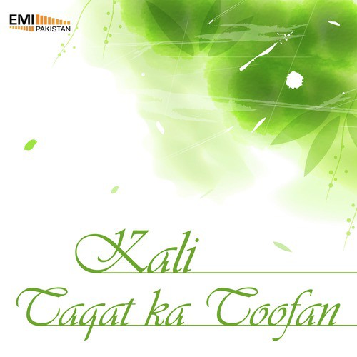 Hum To Doob Gaye (From Taqat Ka Toofan) - Zulfiqar Ali, Wajahat Atre