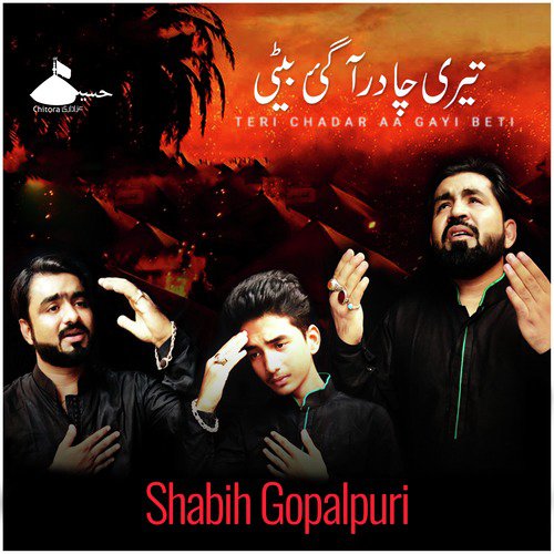 Al Tashaan - Shabih Gopalpuri