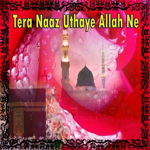 Teri Hi Zaat Hai - Various Artists