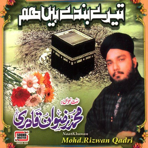 Mein Hadisan Dey - Muhammad Rizwan Qadri
