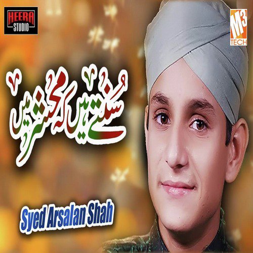 Suntey Hain Ke Mehshar Main - Syed Arsalan Shah