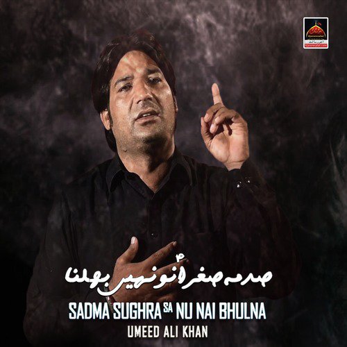 Hai Naara e Takbeer Ki Taqdeer Sakina SA - Umeed Ali Khan