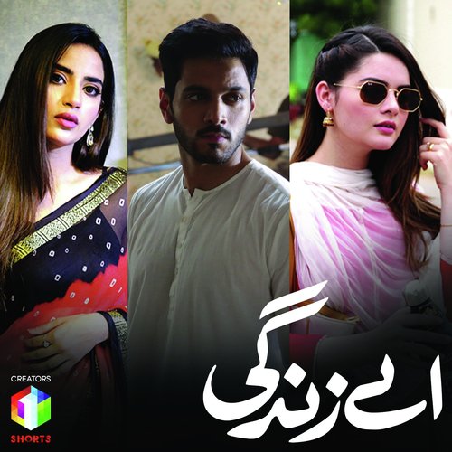Aey Zindag (Slow Version) - Naveed Nashad, Bina Khan