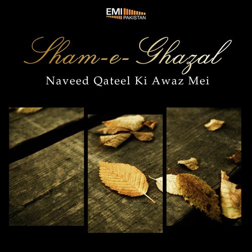 Jinke Seene Ghamon Ke - Naveed Qateel