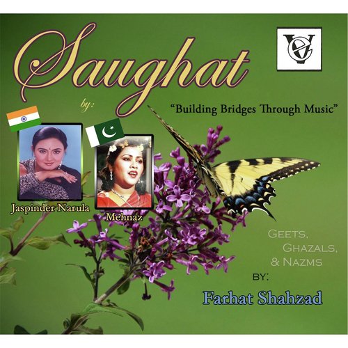 Zakhm Milein To - Jaspinder Narula, Mehnaz