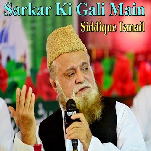 Sarkar Ki Gali Main - Siddique Ismail