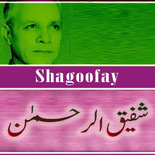 Sarhay Chay - Shafiq Ur Rehman