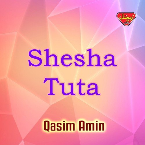 No Jangi Apokani - Qasim Amin