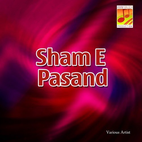 Dil Bazgi A Bichar Tou Mani - Various Artists