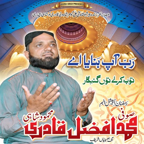 Gumbad Te Meenar Muhammad - Sufi Muhammad Afzal Qadri Mehmood Shahi