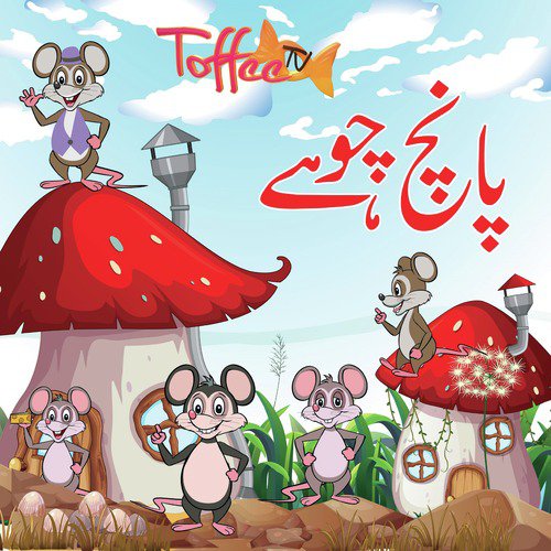 Paanch Choohay - Amani