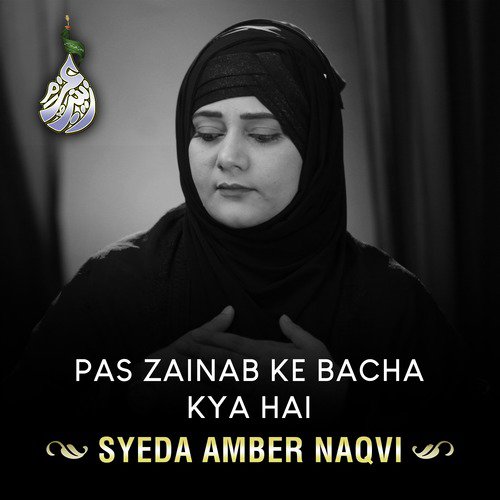 Pas Zainab Ke Bacha Kya Hai - Syeda Amber Naqvi